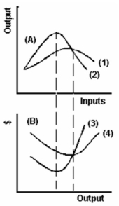 <strong>  Refer to the graph above to answer this question. Which of the following statements is correct?</strong> A) Marginal product and marginal cost reach their minimum levels at the same output. B) Average product and average cost reach their maximum levels at the same output. C) AVC cuts MC at the latter's minimum point. D) AP is at a maximum when ATC is at a minimum. E) AP is at a maximum when AVC is at a minimum. <div style=padding-top: 35px> 