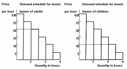 <strong>  Refer to the graph above to answer this question. The graph shows a tennis coach charges $20 per hour for tennis lessons for adults and $10 per hour for tennis lessons for children. The tennis coach is practicing:</strong> A) Peak load pricing B) Three part pricing C) Price discrimination D) Bundling E) All of the choices are correct. <div style=padding-top: 35px> 