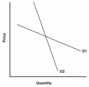<strong> Refer to the graph above to answer this question. Which of the following statements is correct?</strong> A) Demand curve D<sub>1</sub> is the inelastic portion of a curve that could be extended downward to the right. B) Demand curve D<sub>1</sub> is the elastic portion of a curve that could be extended downward to the right. C) Demand curve D<sub>1</sub> is more inelastic than D<sub>2</sub>. D) Demand curve D<sub>1</sub> is perfectly elastic.