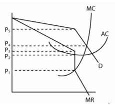 <strong>  Refer to the graph above to answer this question. What type of market is portrayed in this graph?</strong> A) Monopoly. B) Collusive oligopoly. C) Imperfect competition. D) Perfect competition. E) Non-collusive oligopoly. <div style=padding-top: 35px> 