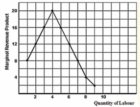 <strong>Below is a graphical illustration of Nearly Done Inc.'s marginal revenue product.The firm employs its labour in a perfectly competitive labour market. What is the term for the wage rate expressed as a dollar and cents figure?</strong> A)The nominal wage. B)The minimum wage. C)The real wage. D)The normal wage.