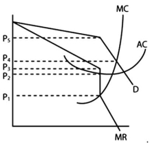 <strong>  Refer to the graph above to answer this question.What type of market is portrayed in this graph?</strong> A)Monopoly. B)Collusive oligopoly. C)Imperfect competition. D)Perfect competition. E)Non-collusive oligopoly. <div style=padding-top: 35px> 
