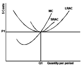 <strong>The following graph depicts the various cost curves for a representative competitive firm producing quantity Q1: -Refer to the above graph to answer this question.If the price of the product is P1,what does the graph suggest?</strong> A)The firm is operating from the optimal size plant but is not necessarily producing the optimal output. B)The firm is producing the optimal output but is not necessarily operating from the optimal size plant. C)The firm is neither operating from the optimal size plant nor necessarily producing the optimal output. D)The firm is producing the optimal output and is also operating from the optimal size plant.