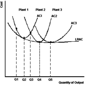 <strong>  Refer to the graph above to answer this question.Between what output levels do increasing returns to scale exist?</strong> A)Q<sub>1</sub> and Q<sub>2</sub> only. B)Q<sub>1</sub> and Q<sub>3</sub> only. C)Q<sub>1</sub> and Q<sub>4</sub>. D)Q<sub>1</sub> and Q<sub>5</sub>. E)Q<sub>4</sub> and Q<sub>5</sub>. <div style=padding-top: 35px> 