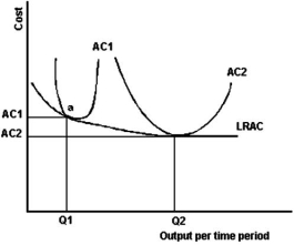 <strong>The graph below includes two plant sizes as illustrated by AC<sub>1</sub> and AC<sub>2</sub>.   Refer to the graph above to answer this question.All of the following statements except one are correct if a small market limits a firm's output to Q<sub>1</sub>.Which is the exception?</strong> A)The firm is not achieving capacity output in plant 1. B)The firm is not achieving minimum efficient scale. C)The firm is experiencing excess capacity. D)The firm would benefit from a larger market. E)Building a larger plant would lower the firm's average cost of producing Q<sub>1</sub>. <div style=padding-top: 35px> 