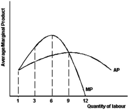 <strong>The graph below illustrates the average and marginal product of labour for Get Smart Enterprises. Refer to the graph above to answer this question.How many units of labour does the firm need to employ to achieve an output that minimizes average variable cost?</strong> A)1. B)3. C)6. D)9. E)12.