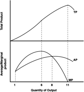 <strong> Refer to the graph above to answer this question.What is true at maximum total output?</strong> A)It is the most productive output. B)It is where diminishing returns begin. C)It is where marginal product is at a maximum. D)It is where marginal product is zero.