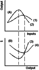 <strong> What causes marginal cost to increase?</strong> A)The advantages of the division of labour. B)The fact that ATC increases. C)Raising marginal product. D)The law of diminishing returns.