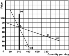 <strong>The graph below illustrates three demand curves. Refer to the graph above to answer this question.Which of the following statements is correct?</strong> A)The price elasticity of demand between points A and B on D<sub>2</sub> is 0.5. B)D1 illustrates an inferior good. C)The slope of all three demand curves is constant. D)The shift from D<sub>1</sub> to D<sub>2</sub> could illustrate a change in the quantity demanded for a product as a result of a decrease in the price of a substitute good.