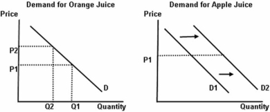   -Refer to the graphs above to answer this question.Suppose that the price of orange juice increases from P<sub>1</sub> to P<sub>2</sub> and the demand curve for apple juice shifts to the right from D<sub>1</sub> to D<sub>2</sub>.What is the relationship between orange juice and apple juice?