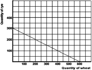 <strong>Below is a production possibilities curve for a large tract of prairie farm land. Refer to the graph above to answer this question.What is the total cost of producing 300 units of rye?</strong> A)0 units of wheat. B)0.5 units of wheat. C)2 units of wheat. D)600 units of wheat.