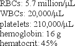 <strong>A patient has the following CBC values: Which of the following would you expect in this patient?</strong> A)anemia B)an infection C)bruising and bleeding D)None of these; all values are within normal limits.