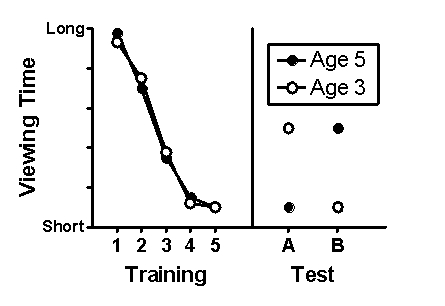 <strong>Scenario I Scenario I is based on and presents fabricated results consistent with the following study: Kim, I. K., & Spelke, E. S. (1992). Infants' sensitivity to effects of gravity on visual object motion. Journal of Experimental Psychology: Human Perception and Performance, 18(2), 385-393. Kim and Spelke (1992) investigated the extent to which infants have expectancies of gravitational effects on visual object motion. Three- and five-month-old infants repeatedly watched a video of a ball accelerating as it rolled down an incline until they spent little time actively looking at it. Subsequently, two types of test trials were conducted in randomized order. Type A test trials consisted of a ball slowing down as it rolled up an incline. Type B test trials consisted of a ball slowing down as it rolled down an incline. During all trials, the amount of time looking at each visual display was recorded. Fabricated data consistent with the major finding of this study are presented in Figure 11.1. Figure 11.1 (Scenario I) Based on the data shown in Figure 11.1, which group(s) of infants, if any, appear to possess a concept of gravity?</strong> A)three-month-olds B)five-month-olds C)both groups, although they have different expectancies about gravitational effects D)neither group