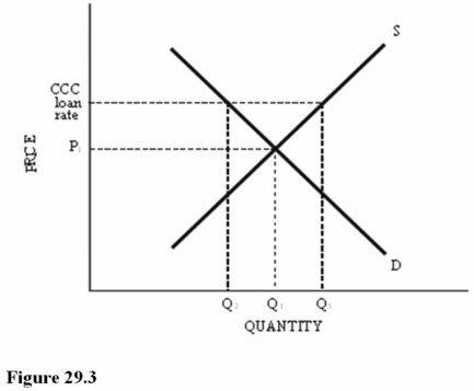 <strong> Refer to Figure 29.3 for a cotton market with an equilibrium price of P<sub>1</sub> and a Commodity Credit Corporation (CCC) loan rate set above P<sub>1</sub>. If the CCC loan rate is increased, the</strong> A) Surplus in the market will become larger. B) Surplus in the market will become smaller. C) Shortage in the market will become larger. D) Shortage in the market will become smaller.