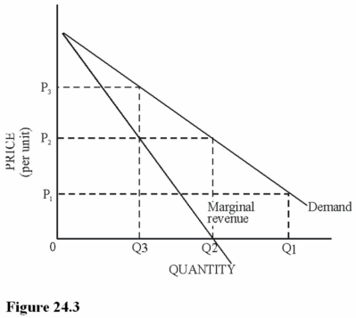<strong> Refer to Figure 24.3. Which of the following statements is true about the price elasticity of demand at price P<sub>2</sub>?</strong> A) The price elasticity is elastic. B) The price elasticity is unitary. C) The price elasticity is inelastic. D) The price elasticity is zero.