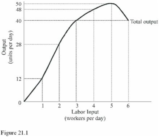 <strong> The marginal physical product of labor in Figure 21.1 is negative for the</strong> A)Third worker. B)Fourth worker. C)Fifth worker. D)Sixth worker.