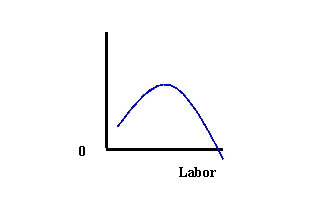<strong> Refer to Exhibit 8-2. The curve shown most likely depicts</strong> A) long-run production B) short-run production C) marginal product