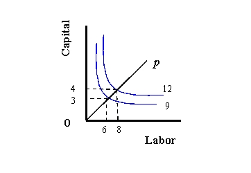 (a) (b) (c) Refer to Exhibit 8-1. Describe the returns to scale for each graph. Explain your answers.
