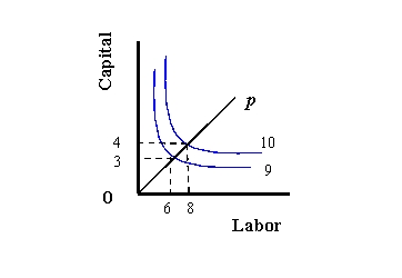 (a) (b) (c) Refer to Exhibit 8-1. Describe the returns to scale for each graph. Explain your answers.