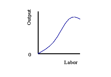 Refer to Exhibit 8-3. This graph most likely illustrates which type of production function?