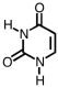 <strong>Which of the following bases would be found in both DNA and RNA?</strong> A) B) C) D)More than one response is correct.