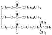 <strong>The structure below would be correctly be classified as a(n)______. </strong> A)sphingolipid B)phosphoglyceride C)cephalin D)Sphingolipid