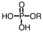 <strong>If an intermediate in metabolism is a diester of phosphoric acid,it would have which general formula? (Note: R represents a generic alkyl chain.)</strong> A) B) C) D)