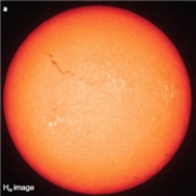 <strong>The squiggly dark line in the upper left quadrant of the Sun in the image above is called a ___________.  </strong> A)solar flare B)prominence C)sunspot D)filament <div style=padding-top: 35px> 
