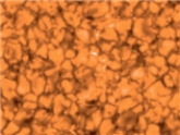 <strong>The above image is a __________ wavelength image of granulation in the ___________.  </strong> A)infrared, chromosphere B)visual, photosphere C)X-ray, corona D)far-UV, chromosphere <div style=padding-top: 35px> 