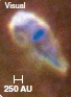 <strong>The above image is an example of a ________.  </strong> A)protostellar disk B)YSO C)protostar D)Herbig-Haro object <div style=padding-top: 35px> 