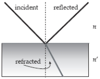 <strong>A light ray is partially reflected and partially refracted at a boundary between two media,the upper one having index of refraction n,the lower one having index of refraction n',as shown in the figure.The reflected ray is perpendicular to the refracted ray when </strong> A) n ^ { \prime } = n \tan \theta _ { \text {mrcident } } . B) n ^ { \prime } = n \cot \theta _ { \text {mrcident } } . C) n ^ { \prime } = n \frac { \sin \theta _ { \text {indident } } } { \sin \theta _ { \text {reflection } } } . D) n ^ { \prime } = n \frac { \sin \theta _ { \text {reflection } } } { \sin \theta _ { \text {reflection } } } . E) n ^ { \prime } = n \sec \theta _ { \text {indident } } .
