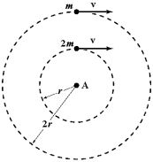 <strong>Two objects of mass m<sub>1</sub> = 2m and m<sub>2</sub> = m move around a rotation axis A in parallel circles of radii r<sub>1</sub> = r and r<sub>2</sub> = 2r with equal tangential speeds.As they rotate,forces of equal magnitude are applied opposite to their velocities to stop them.Which statement is correct? </strong> A)m<sub>2 </sub>will stop first because it has the larger initial angular velocity. B)m<sub>1</sub> will stop first because it has the smaller radius. C)m<sub>2</sub> will stop first because the torque on it is greater. D)m<sub>1</sub> will stop first because it has the smaller moment of inertia. E)Both objects will stop at the same time because the angular accelerations are equal.