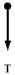 <strong>A rock attached to a string swings in a vertical circle.Which free body diagram could correctly describe the force(s)on the rock when it is at the highest point?</strong> A) B) C) D) E)