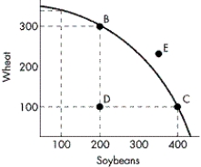 <strong>FIGURE 2-8 Refer to Figure 2-8.Assume the economy is operating at Point D.What is the opportunity cost of moving to Point B?</strong> A)about 200 bushels of wheat B)about 200 bushels of soybeans C)zero D)infinite, as Point B cannot be produced at any cost