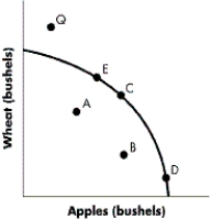 FIGURE 2-11 -Refer to Figure 2-11.How is the statement To get more apples,we have to give up wheat best illustrated in the above diagram?