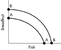 FIGURE 2-12 -Refer to Figure 2-12.Which of the following would most likely cause the production possibilities curve for breadfruit and fish to shift from AA to BB?