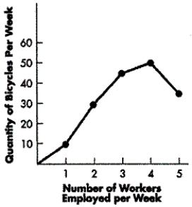<strong>FIGURE 7-1 Refer to Figure 7-1. What is the marginal product of the second worker hired each week?</strong> A) 10 bicycles B) 15 bicycles C) 20 bicycles D) 30 bicycles