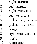 <strong>Indicate which is the proper sequence of blood flow through the circulatory system. </strong> A) 1-2-3-4-5-6-7-8-9-10 B) 10-2-4-5-7-6-1-3-9-8 C) 10-1-3-5-7-6-2-4-9-8 D) 10-1-2-3-4-5-7-6-9-8 E) none of these answers.
