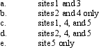 Use the figure above to answer the corresponding questions. Neurotransmitter is released from which site(s)?