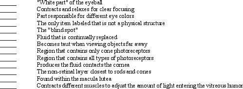 Use the figure above to answer the corresponding questions. Match the following structures with the appropriate letter. Some letters may be used more than once.