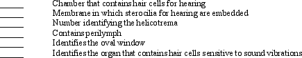 Use the figure above to answer the corresponding questions. Match the following structures with the appropriate letter. Some letters may be used more than once.