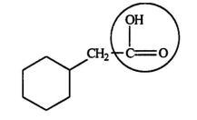 <strong>Identify the functional group circled. </strong> A)aldehyde B)ketone C)alcohol D)ester E)carboxylic acid