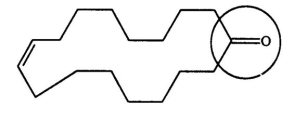 <strong>One source of a musky odor in perfumes is civetone,a compound extracted from the scent gland of the civet cat.Identify the functional group circled. </strong> A)aldehyde B)ketone C)alcohol D)carboxylic acid E)oxide