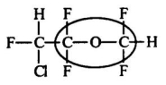 <strong>Enflurane is an effective gaseous anesthetic with relatively low flammability.Identify the functional group circled. </strong> A)aldehyde B)ketone C)ester D)ether E)alcohol