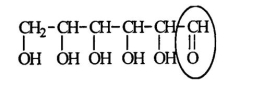 <strong>Glucose is an important sugar in a person's metabolic cycle.Identify the functional group circled. </strong> A)aldehyde B)ketone C)alcohol D)ester E)carboxylic acid