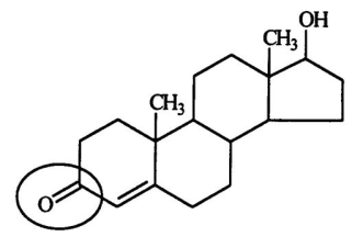 <strong>Testosterone is a male hormone.Identify the functional group circled. </strong> A)aldehyde B)ketone C)alcohol D)ester E)carboxyl