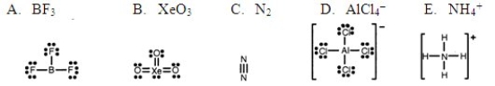 <strong>Which one of the following Lewis structures is definitely incorrect? </strong> A) A B) B C) C D) D E) E