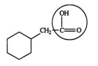 <strong>Identify the functional group circled.  </strong> A) aldehyde B) ketone C) alcohol D) ester E) carboxylic acid <div style=padding-top: 35px> 