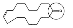 <strong>One source of a musky odor in perfumes is civetone, a compound extracted from the scent gland of the civet cat. Identify the functional group circled.  </strong> A) aldehyde B) ketone C) alcohol D) carboxylic acid E) oxide <div style=padding-top: 35px> 