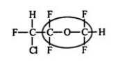 Enflurane is an effective gaseous anesthetic with relatively low flammability. Identify the functional group circled.